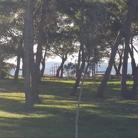 Appartement Apartman Petar à Zadar Extérieur photo