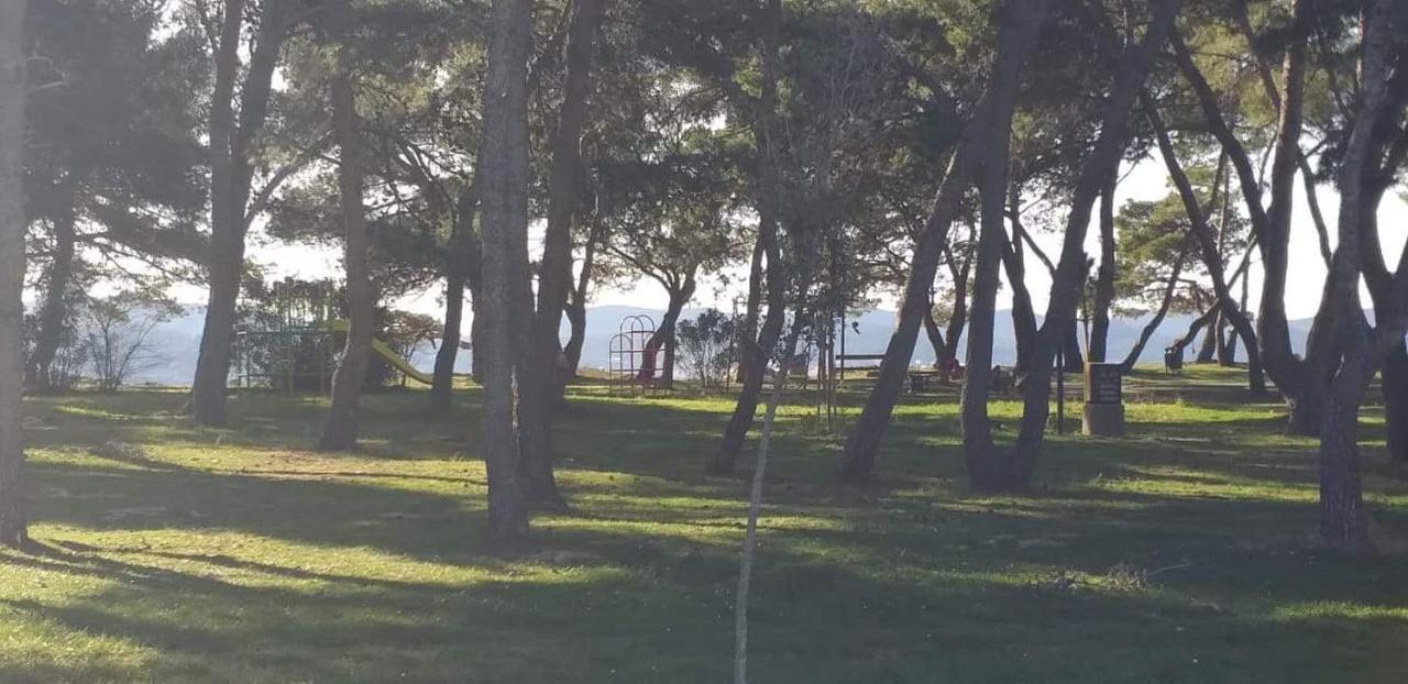 Appartement Apartman Petar à Zadar Extérieur photo