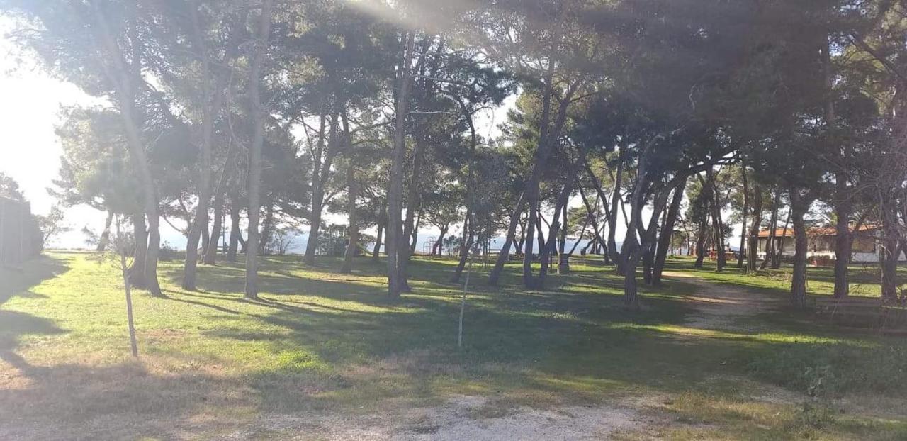 Appartement Apartman Petar à Zadar Extérieur photo